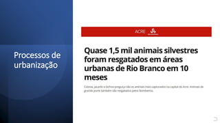 Processos de
urbanização
Fonte:
G1
(2017).
 