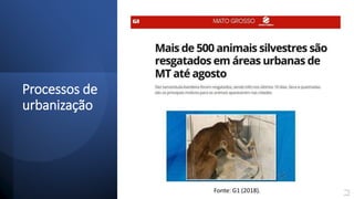 Processos de
urbanização
Fonte:
G1
(2018).
Fonte: G1 (2018).
 