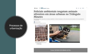 Fonte: ESTADO DE MINAS (2018).
Processos de
urbanização
 