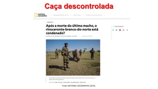 Caça descontrolada
Fonte: NATIONAL GEOGRAPHIC (2018).
 