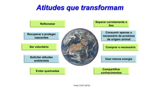 Separar corretamente o
lixo
Consumir apenas o
necessário de produtos
de origem animal
Comprar o necessário
Usar menos energia
Compartilhar
conhecimentos
Reflorestar
Recuperar e proteger
nascentes
Solicitar atitudes
ambientais
Ser voluntário
Evitar queimadas
Fonte: CCST (2015).
 