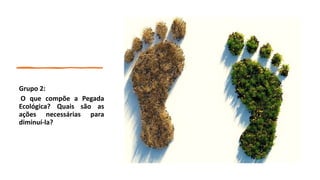 Grupo 2:
O que compõe a Pegada
Ecológica? Quais são as
ações necessárias para
diminuí-la?
 