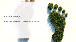 • PEGADA ECOLÓGICA
• DESENVOLVIMENTO Semanas 2 e 3: 4 aulas
 