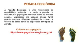 Apresentação a Habiliade
PEGADA ECOLÓGICA
A Pegada Ecológica é uma metodologia de
contabilidade ambiental que avalia a pressão do
consumo das populações humanas sobre os recursos
naturais. Expressada em hectares globais (gha),
permite comparar diferentes padrões de consumo e
verificar se estão dentro da capacidade ecológica do
planeta.
Calcule a sua pegada:
https://www.pegadaecologica.org.br/
 