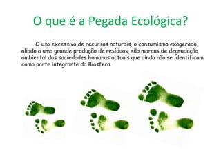 O que é a Pegada Ecológica?
      O uso excessivo de recursos naturais, o consumismo exagerado,
aliado a uma grande produção de resíduos, são marcas de degradação
ambiental das sociedades humanas actuais que ainda não se identificam
como parte integrante da Biosfera.
 