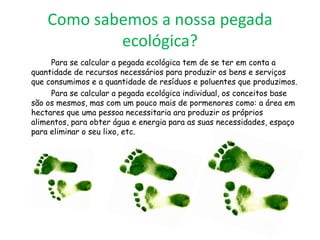 Como sabemos a nossa pegada
            ecológica?
     Para se calcular a pegada ecológica tem de se ter em conta a
quantidade de recursos necessários para produzir os bens e serviços
que consumimos e a quantidade de resíduos e poluentes que produzimos.
     Para se calcular a pegada ecológica individual, os conceitos base
são os mesmos, mas com um pouco mais de pormenores como: a área em
hectares que uma pessoa necessitaria ara produzir os próprios
alimentos, para obter água e energia para as suas necessidades, espaço
para eliminar o seu lixo, etc.
 