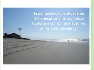 Já pensaste na quantidade de terra necessária para produzir aquilo que consomes e absorver os resíduos que geras?