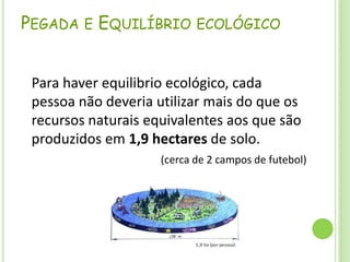 Pegada e Equilíbrio ecológicoPara haver equilibrio ecológico, cada pessoa não deveria utilizar mais do que os recursos naturais equivalentes aos que são produzidos em 1,9 hectares de solo.(cerca de 2 campos de futebol)