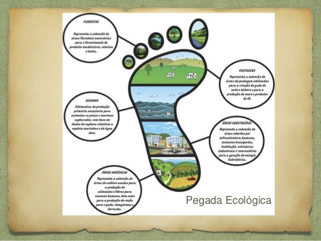 Pegada Ecológica
 