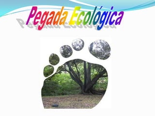 Pegada Ecológica