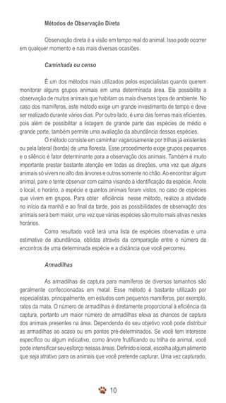 10
	 Métodos de Observação Direta	 	
	 Observação direta é a visão em tempo real do animal. Isso pode ocorrer
em qualquer momento e nas mais diversas ocasiões.
	 Caminhada ou censo
	 É um dos métodos mais utilizados pelos especialistas quando querem
monitorar alguns grupos animais em uma determinada área. Ele possibilita a
observação de muitos animais que habitam os mais diversos tipos de ambiente. No
caso dos mamíferos, este método exige um grande investimento de tempo e deve
ser realizado durante vários dias. Por outro lado, é uma das formas mais eficientes,
pois além de possibilitar a listagem de grande parte das espécies de médio e
grande porte, também permite uma avaliação da abundância dessas espécies.
	 O método consiste em caminhar vagarosamente por trilhas já existentes
ou pela lateral (borda) de uma floresta. Esse procedimento exige grupos pequenos
e o silêncio é fator determinante para a observação dos animais. Também é muito
importante prestar bastante atenção em todas as direções, uma vez que alguns
animais só vivem no alto das árvores e outros somente no chão.Ao encontrar algum
animal, pare e tente observar com calma visando à identificação da espécie. Anote
o local, o horário, a espécie e quantos animais foram vistos, no caso de espécies
que vivem em grupos. Para obter eficiência nesse método, realize a atividade
no início da manhã e ao final da tarde, pois as possibilidades de observação dos
animais será bem maior, uma vez que várias espécies são muito mais ativas nestes
horários.
	 Como resultado você terá uma lista de espécies observadas e uma
estimativa de abundância, obtidas através da comparação entre o número de
encontros de uma determinada espécie e a distância que você percorreu.
	 Armadilhas
	 As armadilhas de captura para mamíferos de diversos tamanhos são
geralmente confeccionadas em metal. Esse método é bastante utilizado por
especialistas, principalmente, em estudos com pequenos mamíferos, por exemplo,
ratos da mata. O número de armadilhas é diretamente proporcional à eficiência da
captura, portanto um maior número de armadilhas eleva as chances de captura
dos animais presentes na área. Dependendo do seu objetivo você pode distribuir
as armadilhas ao acaso ou em pontos pré-determinados. Se você tem interesse
específico ou algum indicativo, como árvore frutificando ou trilha do animal, você
pode intensificar seu esforço nessas áreas. Definido o local, escolha algum alimento
que seja atrativo para os animais que você pretende capturar. Uma vez capturado,
 