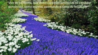 "Vive de tal forma, que deixes pegadas luminosas no caminho
percorrido, como estrelas apontando o rumo da felicidade"
 