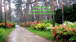 Assim é a vida!!!
Um longo caminho!!!
Um grande aprendizado!!!
 