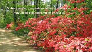 Onde o correto, o verdadeiro por vezes começa só,
mas um dia perceberá muitos a seguí-lo.
 