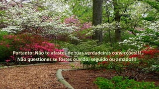 Portanto: Não te afastes de tuas verdadeiras convicções!!!
Não questiones se fostes ouvido, seguido ou amado!!!
 