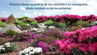 Procura afastar as pedras de teu caminho e se conseguires
afasta também as do teu próximo.
 