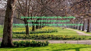 Sem que ele perceba propicia-lhe um atalho.
Deixa o caminho pronto e segue!!!
Completa a tua Obra e Crê naqueles que te enviam Luzes.
 