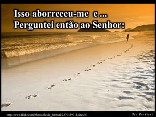 http://www.flickr.com/photos/flavia_barbieri/2370439011/sizes/o/
Isso aborreceu-me e ...
Perguntei então ao Senhor:
 