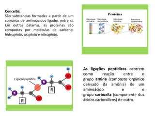 Conceito:
São substancias formadas a partir de um
conjunto de aminoácidos ligados entre si.
Em outras palavras, as proteínas são
compostas por moléculas de carbono,
hidrogênio, oxigênio e nitrogênio.
As ligações peptídicas ocorrem
como reação entre o
grupo amina (composto orgânico
derivado da amônia) de um
aminoácido e o
grupo carboxila (componente dos
ácidos carboxílicos) de outro.
 