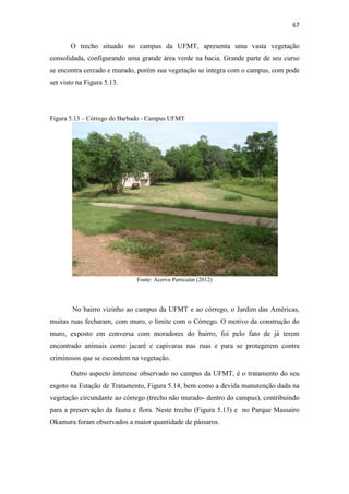 64 
No trecho dos bairros: Terra Nova, Bela Vista e Dom Bosco, é observada uma 
significativa alteração na cor da água, assim como o forte odor, Figura 5.10. Observa-se 
também maior volume de água no córrego e uma seção mais larga e profunda do canal 
em relação ao trecho anterior. 
A vegetação se encontra empobrecida, devido a ausência de cobertura arbórea, a 
vegetação predominante é a Capoeira, ou seja, uma vegetação secundária, que surge 
após o desmatamento da vegetação primitiva. 
Figura 5.10 – Córrego do Barbado – Rua Quinze - Trecho entre Bairro Terra Nova e Bela Vista 
Fonte: Acervo Particular (2012) 
5.2.3 Médio Curso 
Está localizado entre as avenidas João Gomes Monteiro Sobrinho e Fernando 
Corrêa da Costa (UFMT), envolvendo os bairros: Jardim Leblon, Pedregal, Jardim 
Itália, Renascer, Jardim das Américas e Campus UFMT. 
 