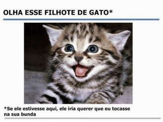 Manual como pegar numa bunda