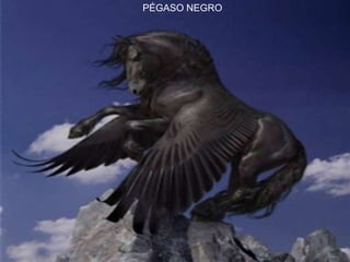 PÉGASO NEGRO
 