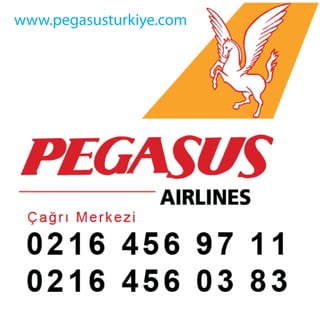 www.pegasusturkiye.com
 