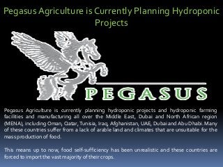 Pegasus Agriculture is Currently Planning Hydroponic Projects 
PegasusAgricultureiscurrentlyplanninghydroponicprojectsandhydroponicfarmingfacilitiesandmanufacturingallovertheMiddleEast,DubaiandNorthAfricanregion(MENA),includingOman,Qatar,Tunisia,Iraq,Afghanistan,UAE,DubaiandAbuDhabi.Manyofthesecountriessufferfromalackofarablelandandclimatesthatareunsuitableforthemassproductionoffood. 
Thismeansuptonow,foodself-sufficiencyhasbeenunrealisticandthesecountriesareforcedtoimportthevastmajorityoftheircrops.  