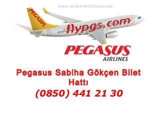 www.ucakbiletiuzmani.net 
v 
Pegasus Sabiha Gökçen Bilet 
Hattı 
(0850) 441 21 30 
 