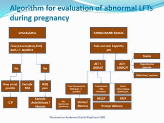 Lfts Algorithm Pegnancy and liver disease BY DR KANDY | PPTX