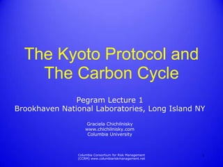 The Kyoto Protocol and
    The Carbon Cycle
               Pegram Lecture 1
Brookhaven National Laboratories, Long Island NY
                   Graciela Chichilnisky
                   www.chichilnisky.com
                    Columbia University



               Columbia Consortium for Risk Management   1
               (CCRM) www.columbiariskmanagement.net
 