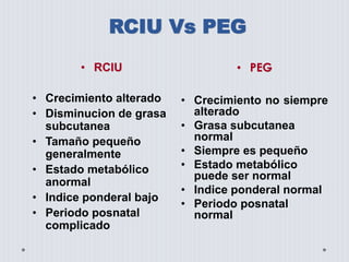 RCIU y PEG | PPTX