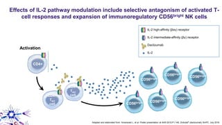 Effects of IL-2 pathway modulation include selective antagonism of activated T-
cell responses and expansion of immunoregulatory CD56bright NK cells
Adapted and elaborated from: Amaravadi L, et al. Poster presentation at AAN 2015;P1.149; Zinbryta® (daclizumab) SmPC. July 2016.
Activation
CD4+
CD4+
Tact
cell
CD4+
Tact
cell
CD56bright CD56bright
CD56bright
CD56brightCD56bright
CD56bright
IL-2
IL-2 intermediate-affinity (βγ) receptor
IL-2 high-affinity (βαγ) receptor
Daclizumab
 