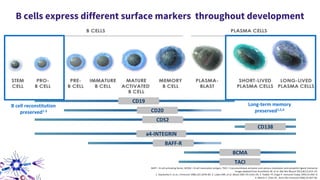 B cells express different surface markers throughout development
BAFF = B cell activating factor; BCMA = B cell maturation antigen; TACI = transmembrane activator and calcium-modulator and cytophilin ligand interactor
Image adapted from Krumbholz M, et al. Nat Rev Neurol 2012;8(11):613–23.
1. Stashenko P, et al. J Immunol 1980;125:1678–85; 2. Loken MR, et al. Blood 1987;70:1316–24; 3. Tedder TF, Engel P. Immunol Today 1994;15:450–4;
4. Martin F, Chan AC. Annu Rev Immunol 2006;24:467–96.
CD20
CD19
CD52
CD138
a4-INTEGRIN
BAFF-R
BCMA
TACI
B cell reconstitution
preserved1-3
Long-term memory
preserved1,2,4
 