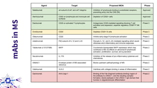 Agent Target Proposed MOA Phase
Natalizumab α4 subunit of α41 and α47 integrins Inhibition of lymphocyte binding to endothelial receptors,
preventing entry into the CNS (59)
Approved
Alemtuzumab CD52 on lymphocyte and monocyte cell
surfaces
Depletion of CD52+ cells Approved
Daclizumab CD25 on activated T-lymphocytes Antagonizes CD25-mediated signalling blocking T-cell
activation and expansion; expands regulatory CD56bright NK
cells
Phase 3
Ocrelizumab CD20 Depletes CD20+ B cells Phase 3
Ofatumumab CD20 Inhibits early-stage B lymphocyte activation Phase 2
Ustekinumab P40 subunit of IL-12 and IL-23 Disrupts IL-12– and IL-23–mediated signalling which would
otherwise elicit inflammatory and immune responses
Phase 2
Tabalumab (LY2127399) BAFF Counteracts dysregulated BAFF expression which may
contribute to MS via effects on abnormal B lymphocyte
activation, proliferation, survival, and Ig secretion
Phase 2
Secukinumab IL-17A Inhibition of the release of pro-inflammatory cytokines and
chemokines.
Phase 2
GNbAC1 Envelope protein of MS-associated
retrovirus
Blocks upstream pathophysiology of MS Phase 2
Vatelizumab VLA-2 Interferes with collagen-binding in areas of inflammation Phase 2
Opicinumab Anti-Lingo-1 Binding of the Fab (fragment antibody-binding) region of
the antibody to LINGO-1, and the resulting complex
formation, blocks epitopes in the LINGO-1 IgG domain that
function in oligodendrocyte differentiation
Phase 2
mAbsinMS
 