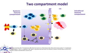 Two compartment model
T
Te
B
APC T
Tc
Tc
Tc
Tc
B
Treg
BBB CNS
Bi
Te
Te
Bi
Te
Te
B
Treg Treg
Systemic
immune
compartment
APC, antigen presenting cells; B, B lymphocytes; BBB, blood-brain barrier; Bi, inflammatory B cells; CNS, central nervous system; Tc, T lymphocytes;
Te, encephalitogenic T cells; Treg, regulatory T cells. Figure is reproduced with permission from Wiendl H, Kieseier B. Nat Rev Neurol. 2013;9:125-6
1. Wiendl H, Kieseier B. Nat Rev Neurol. 2013;9:125-6
Intrathecal
immune
compartment
 