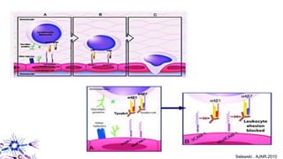 Selewski . AJNR.2010
 