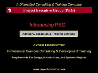 Introducing   PEG   A Diversified Consulting & Training Company Advisory, Execution & Training Services Project Executive Group (PEG) Mar 2009 www.projectexecutive.com A Unique Solution for your Professional Services Consulting & Development Training Requirements For Energy, Infrastructure, and Systems Projects www.projectexecutive.com 