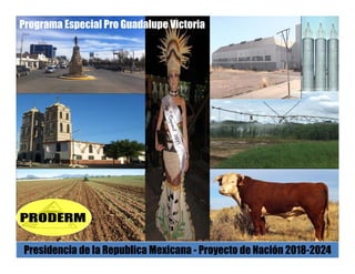 Programa Especial Pro Guadalupe Victoria
Presidencia de la Republica Mexicana - Proyecto de Nación 2018-2024
 