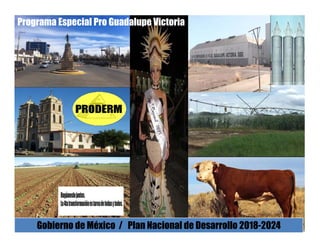 Programa Especial Pro Guadalupe Victoria
Gobierno de México / Plan Nacional de Desarrollo 2018-2024
 