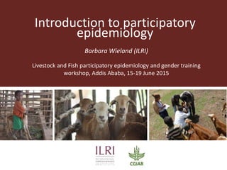 Introduction to participatory
epidemiology
Barbara Wieland (ILRI)
Livestock and Fish participatory epidemiology and gender training
workshop, Addis Ababa, 15-19 June 2015
 