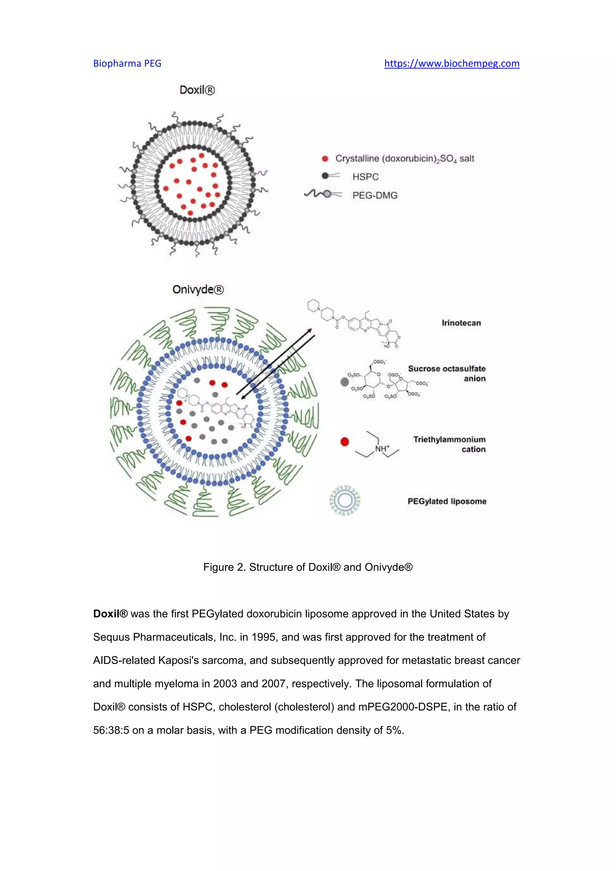 PEGylated Liposomes in the Clinic and Clinical Trials.pdf