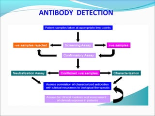 ANTIBODY DETECTION
 