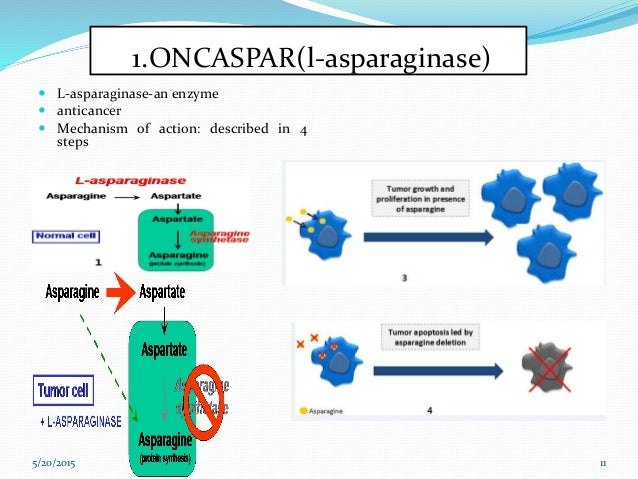 mechanism of action l Pegylation protiens of drugs mechanism of action l Pegylation protiens of drugs