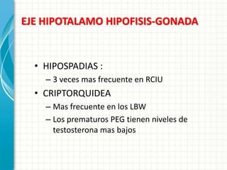 EJE HIPOTALAMO HIPOFISIS-GONADA


  • HIPOSPADIAS :
    – 3 veces mas frecuente en RCIU
  • CRIPTORQUIDEA
    – Mas frecuente en los LBW
    – Los prematuros PEG tienen niveles de
      testosterona mas bajos
 