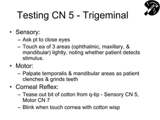 Testing CN 5 - Trigeminal
• Sensory:
– Ask pt to close eyes
– Touch ea of 3 areas (ophthalmic, maxillary, &
mandibular) lightly, noting whether patient detects
stimulus.
• Motor:
– Palpate temporalis & mandibular areas as patient
clenches & grinds teeth
• Corneal Reflex:
– Tease out bit of cotton from q-tip - Sensory CN 5,
Motor CN 7
– Blink when touch cornea with cotton wisp
 