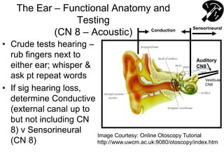 The Ear – Functional Anatomy and
Testing
(CN 8 – Acoustic)
• Crude tests hearing –
rub fingers next to
either ear; whisper &
ask pt repeat words
• If sig hearing loss,
determine Conductive
(external canal up to
but not including CN
8) v Sensorineural
(CN 8)
Image Courtesy: Online Otoscopy Tutorial
http://www.uwcm.ac.uk:9080/otoscopy/index.htm
Vestibular
CN8
Auditory
CN8
Conduction Sensorineural
 