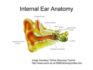 Internal Ear Anatomy
Image Courtesy: Online Otoscopy Tutorial
http://www.uwcm.ac.uk:9080/otoscopy/index.htm
 