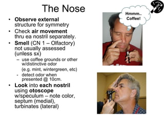 The Nose
• Observe external
structure for symmetry
• Check air movement
thru ea nostril separately.
• Smell (CN 1 – Olfactory)
not usually assessed
(unless sx)
– use coffee grounds or other
w/distinctive odor
(e.g. mint, wintergreen, etc)
- detect odor when
presented @ 10cm.
• Look into each nostril
using otoscope
w/speculum – note color,
septum (medial),
turbinates (lateral)
Hmmm..
Coffee!
 