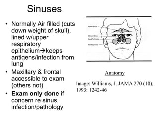 Sinuses
• Normally Air filled (cuts
down weight of skull),
lined w/upper
respiratory
epitheliumkeeps
antigens/infection from
lung
• Maxillary & frontal
accessible to exam
(others not)
• Exam only done if
concern re sinus
infection/pathology
Anatomy
Image: Williams, J. JAMA 270 (10);
1993: 1242-46
 